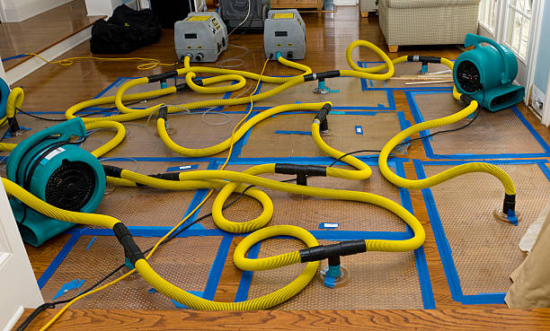 Professional Storm Water Damage Restoration technician working in Kearny, NJ